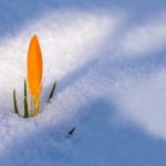 ブレイクアウトはいつ起こる?なぜ起こる?その理由が5分で分かる!
