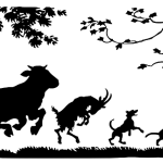 順張りやるならこれを読め！順張りで狙える実践的なポイント解説