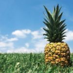 頑張っているのに成長している実感がない人に贈る対策法